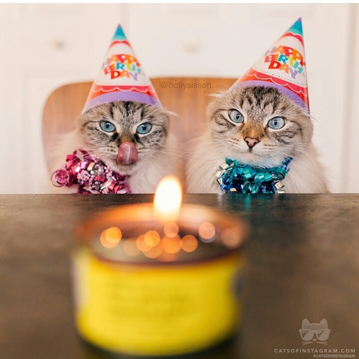 The cutest birthday party