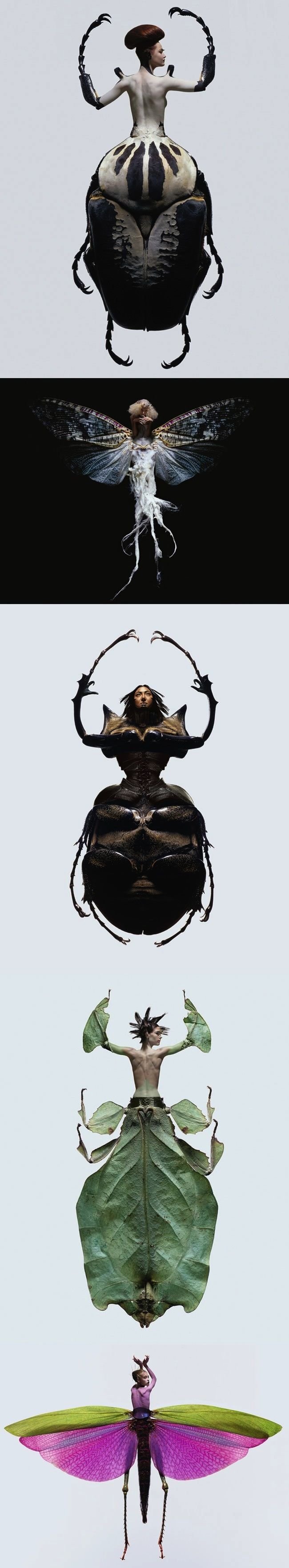 Insects x Women.