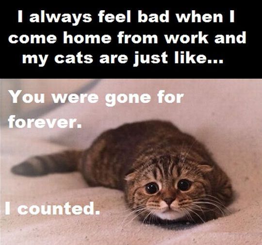 You were gone for forever...