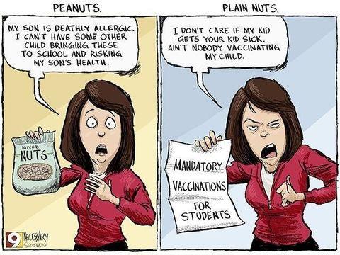 Peanuts vs Plain nuts