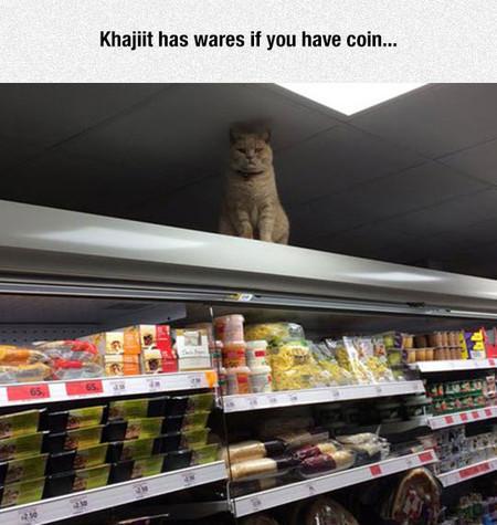 Khajiit Has Wares If You Have Coin...