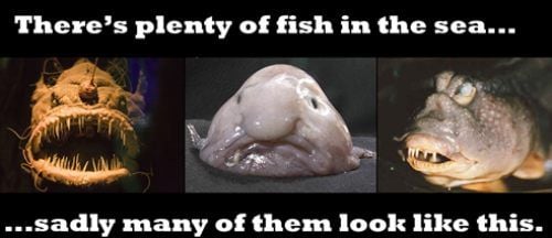 There's plenty of fish in the sea...