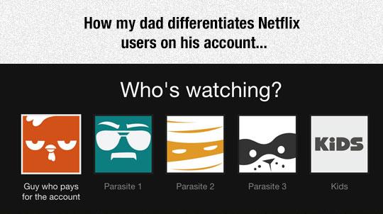 Netflix Users