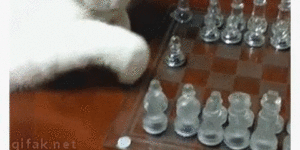 Outstanding move…