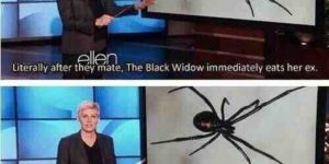 Oh Ellen.