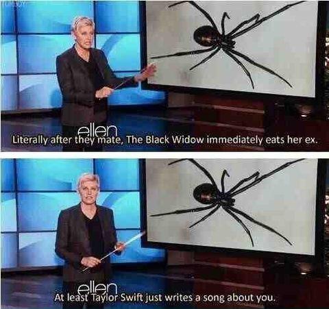 Oh Ellen.