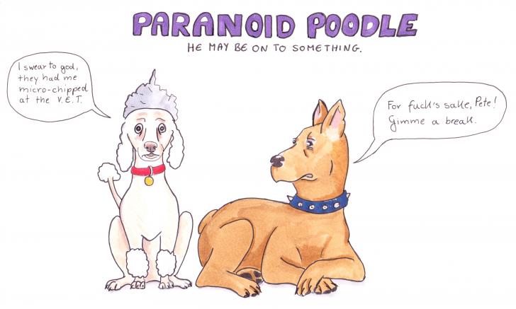 Poodles and Paranoia