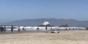 The rock at Ocean Beach, SF looks like it has snow on it; It’s bird excrement.