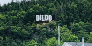 Apparently Jimmy Kimmel paid for this sign in Dildo, NL. #worthit