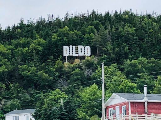 Apparently Jimmy Kimmel paid for this sign in Dildo, NL. #worthit