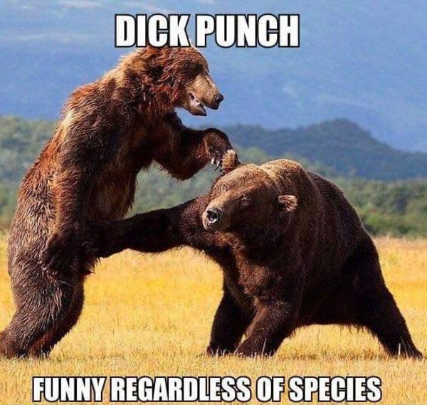 Never trust a bear to fight a fair fight...