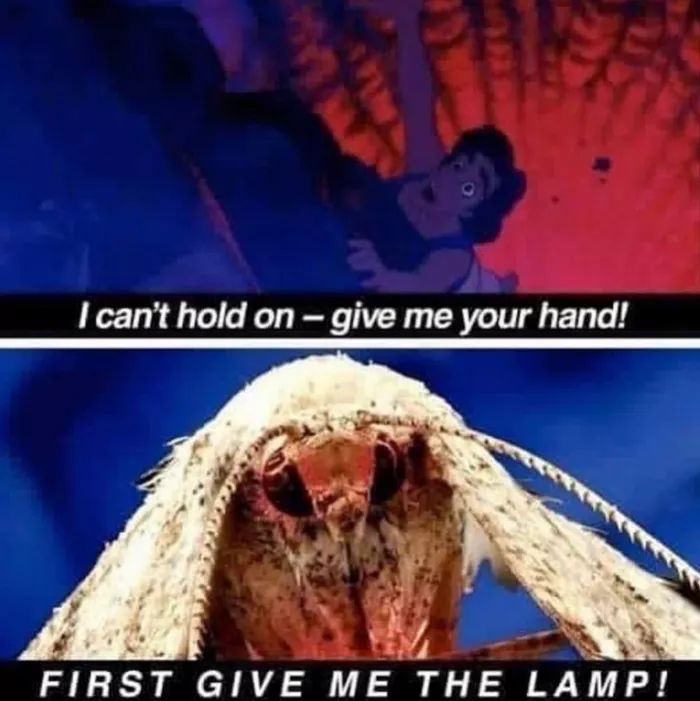 It gives us the lamp. 