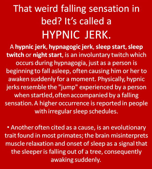 The Hypnic Jerk.