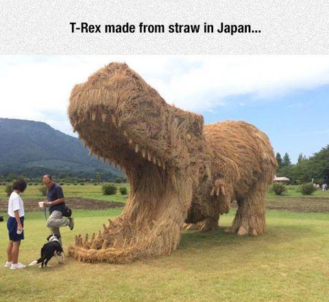 Straw T-Rex