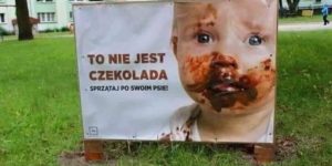 ‘This is not chocolate. Clean after your dog.’ Social awareness campaign in Poland