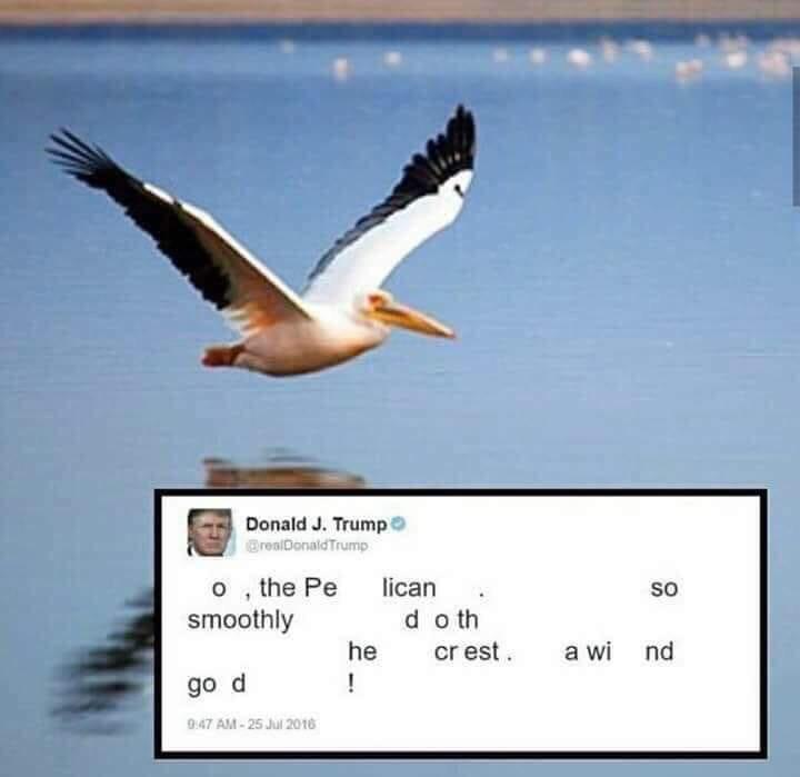 Donald is a poet. Did you even know it?