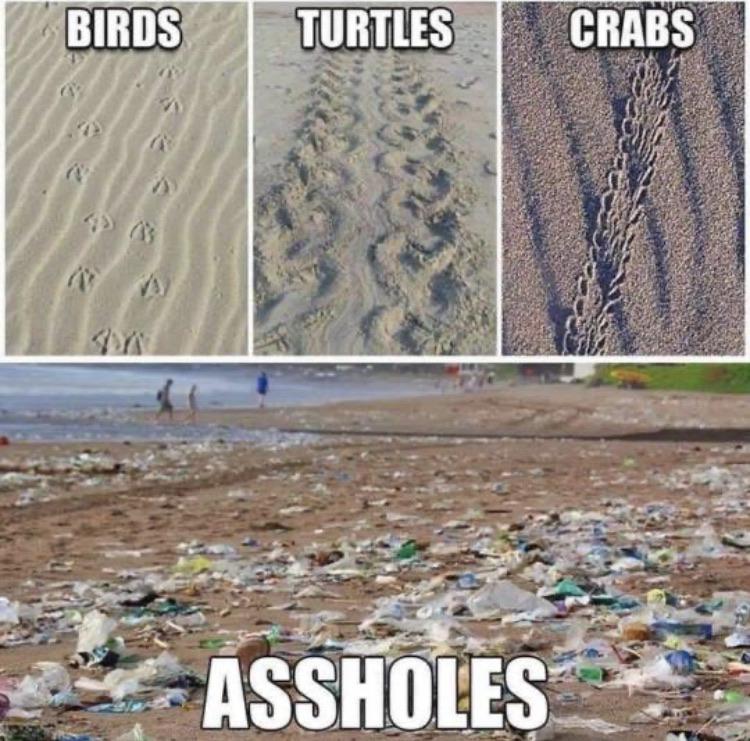 Footprints in the sand... and all that jazz.