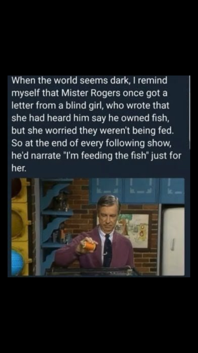 Mr. Rogers is feeding the fish.