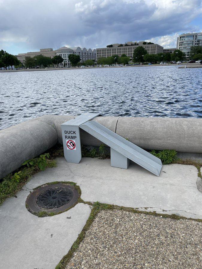 Or perhaps stop pouring concrete.
