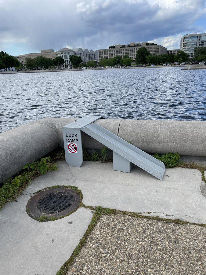 Or perhaps stop pouring concrete.