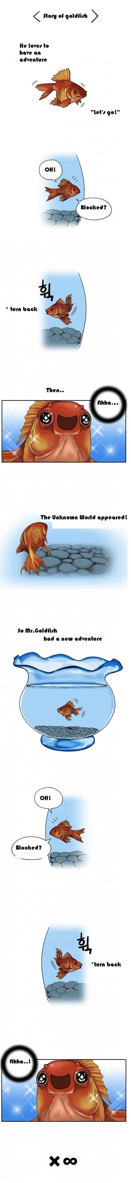 Mr. Goldfish is always happy.