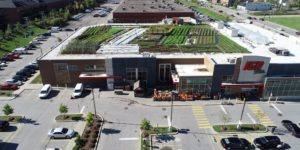 Local supermarket made a garden on their roof and sells the proceeds. What a concept.