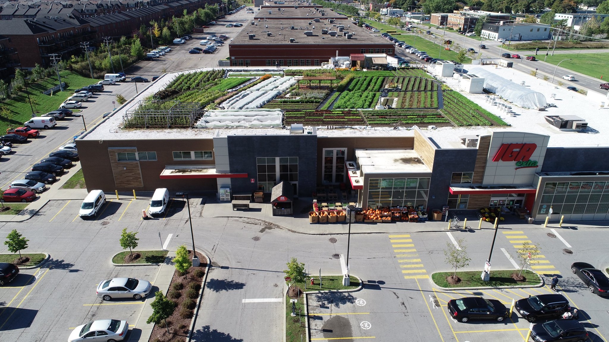 Local supermarket made a garden on their roof and sells the proceeds. What a concept.