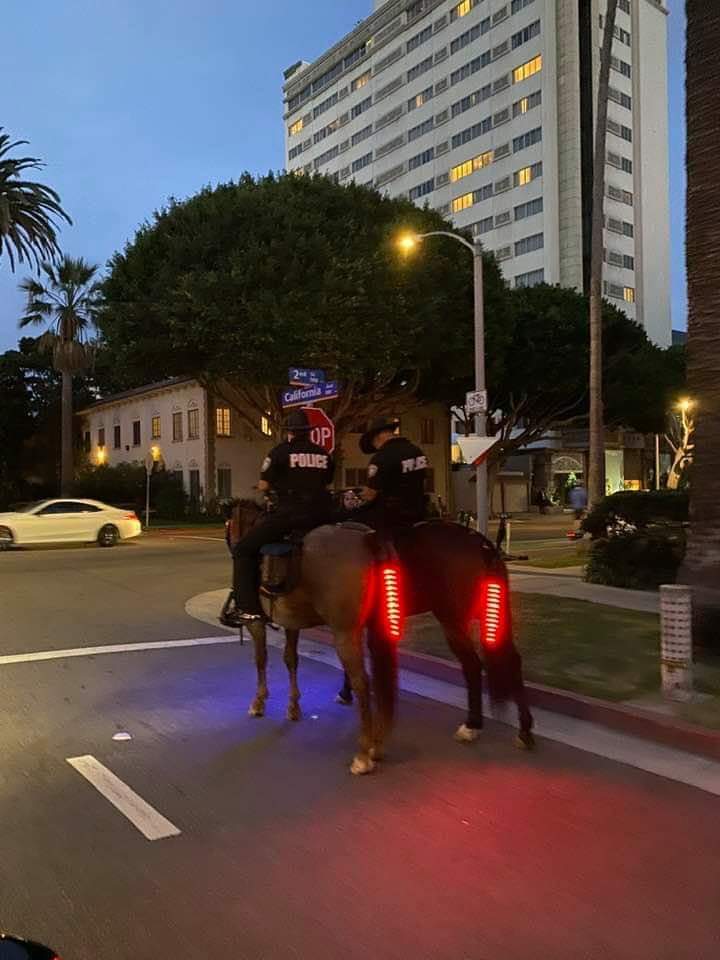 Horses with break lights.