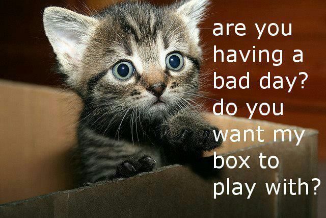 Do you need a box to play with?
