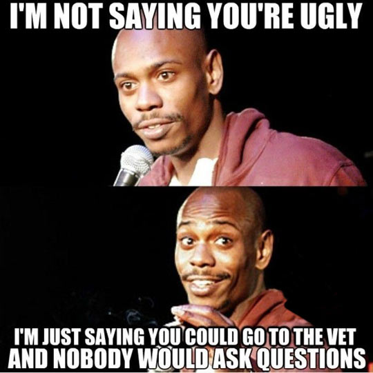 I'm not saying you're ugly...
