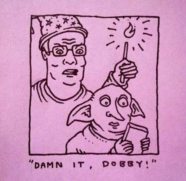 Damn it, Dobby!