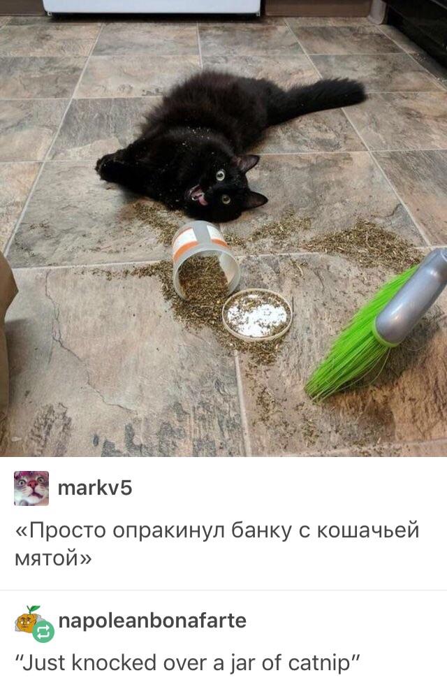 Ð¢Ð°Ðº Ð²Ñ‹ÑÐ¾ÐºÐ¸Ð¹ Ð¿Ñ€Ð°Ð²Ñ‹Ð¹ Ð¼ÑÑƒ