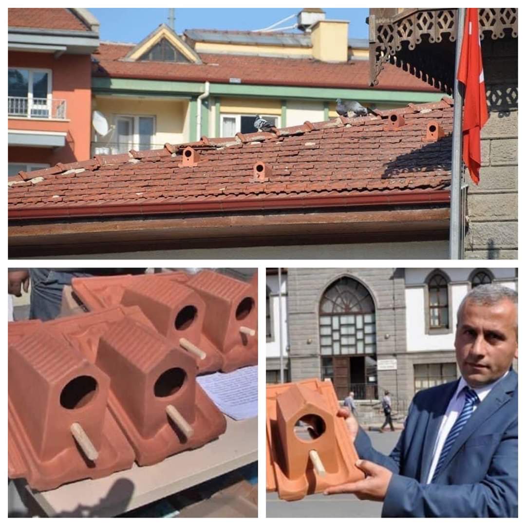 A factory in Turkey started making tiles that can offer shelter to birds and we all agree that is pretty cool.