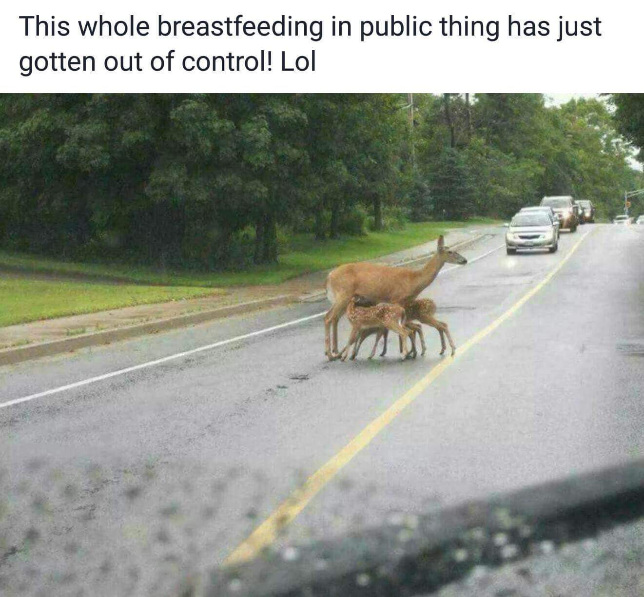 When breastfeeding in public goes too far.