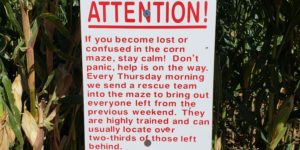 Local corn maze search and rescue team is top notch.