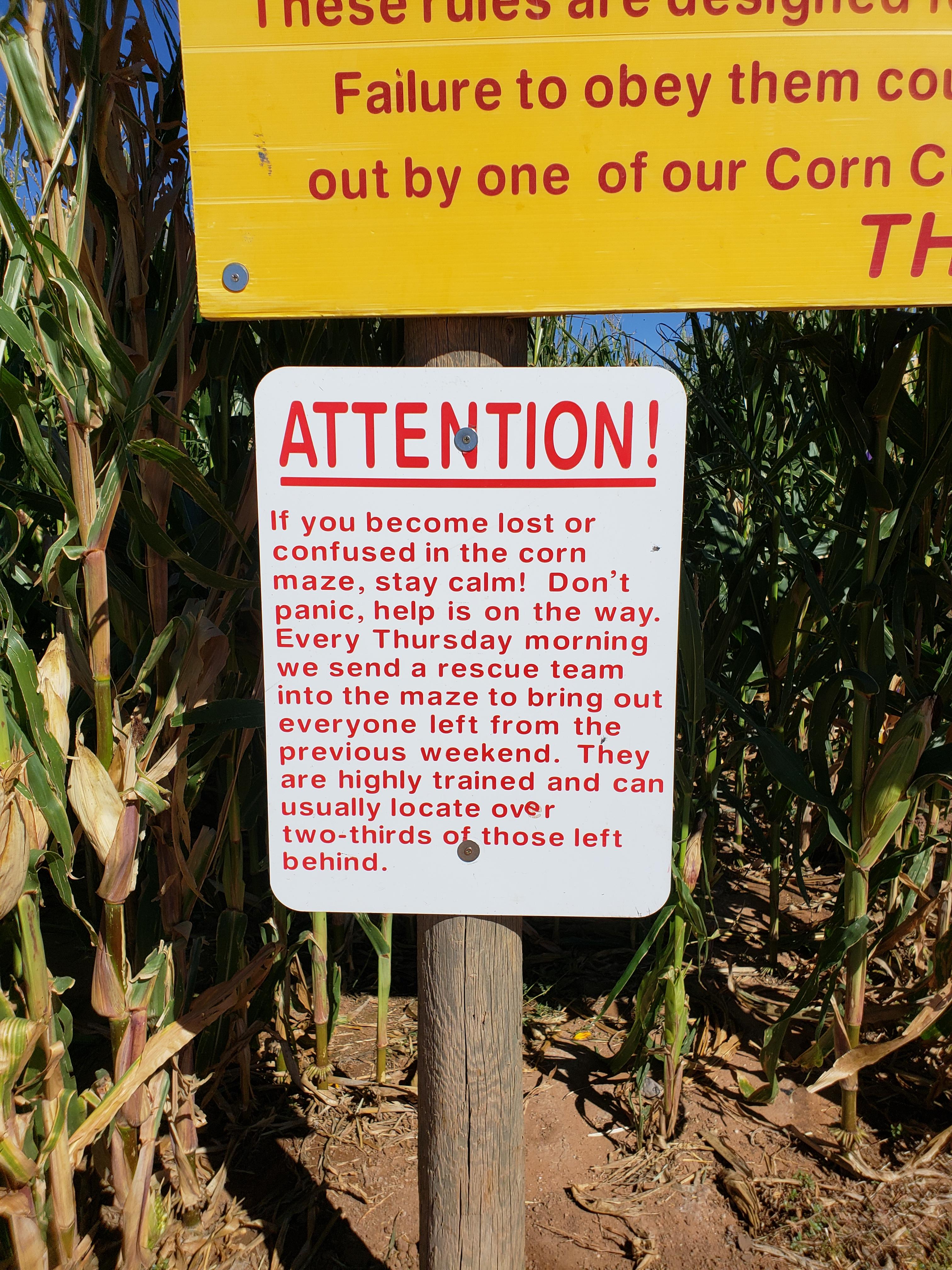 Local corn maze search and rescue team is top notch.