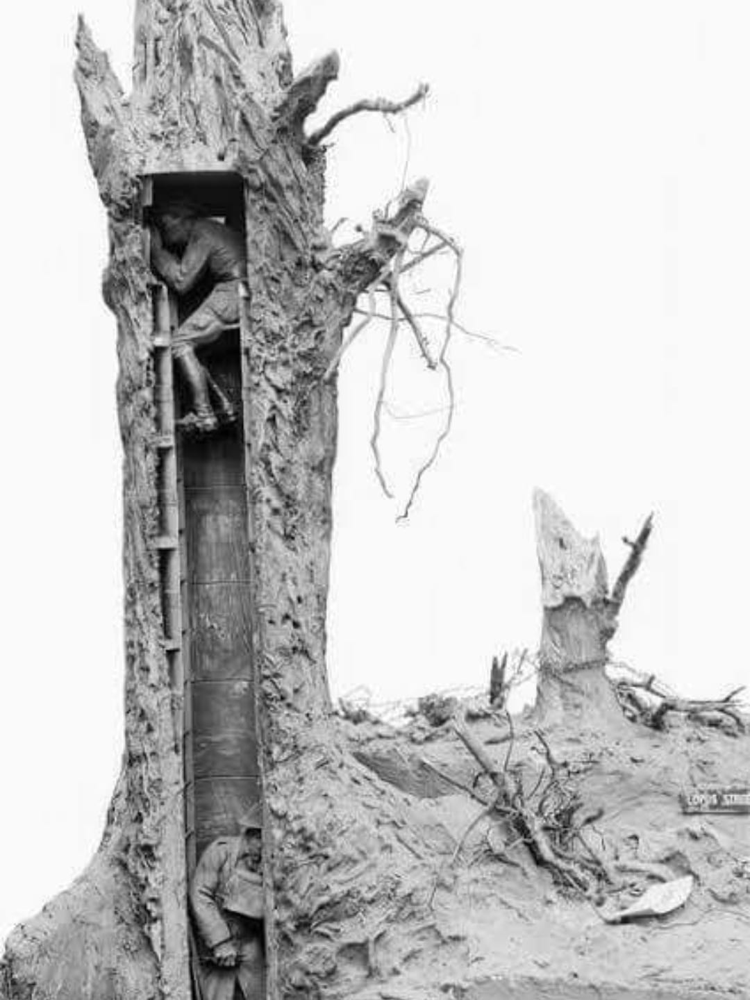 A WWI observation tree. #warishell