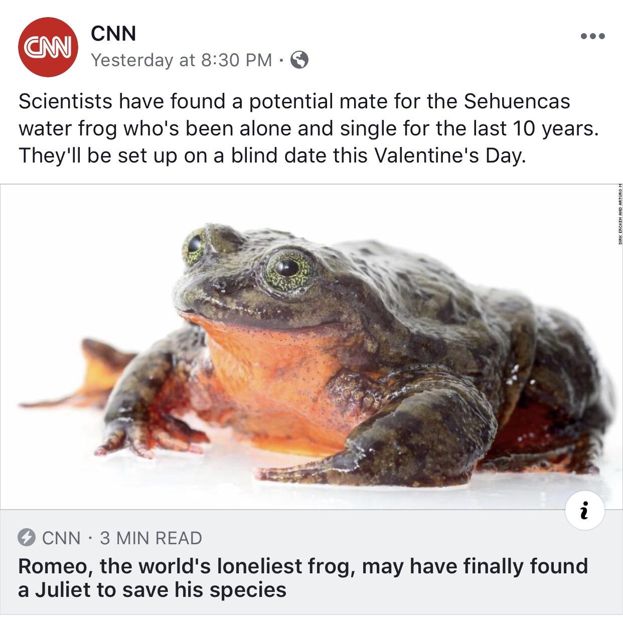 Every frog has his day