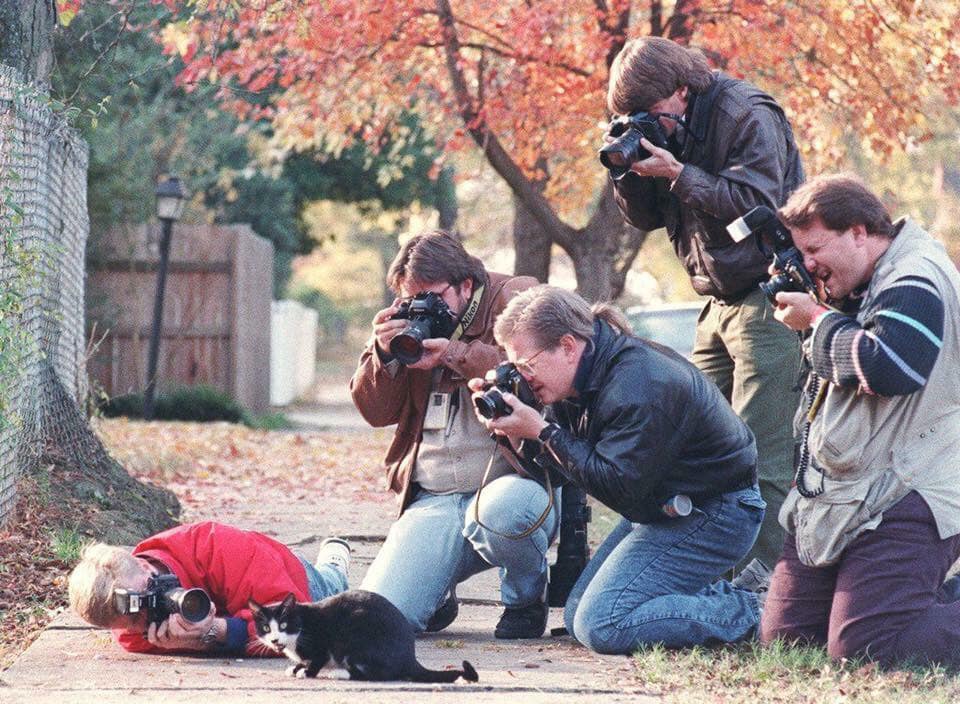 Papa-paparazzi surrounding Mr. Socks-- Bill Clinton's cat, circa the summer of '92.