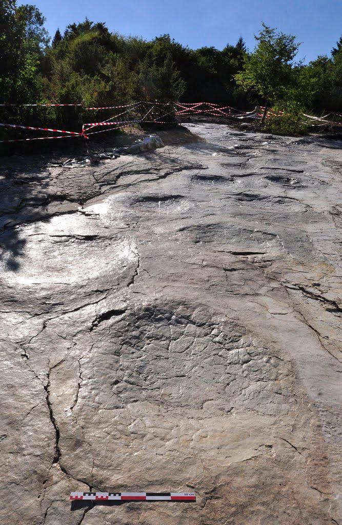 Dinosaur Footprints in France