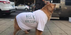 I didn’t realize dogs could join Antifa.