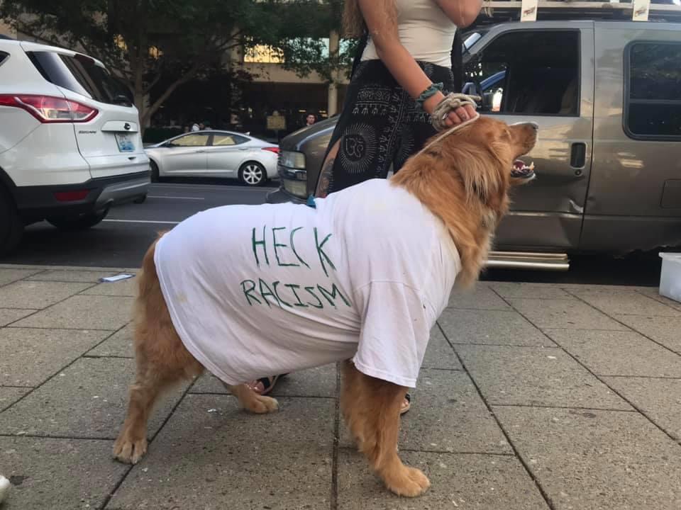 I didn't realize dogs could join Antifa.
