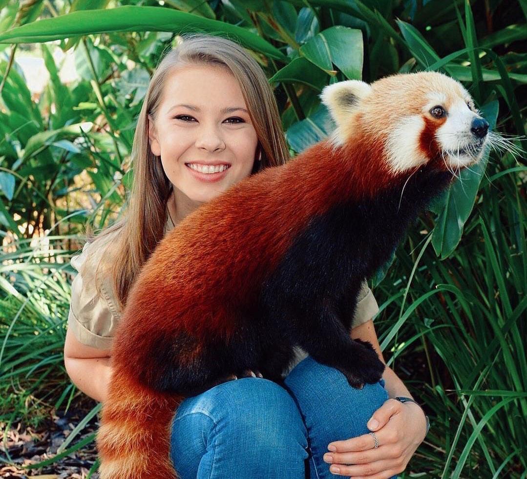 Bindi Irwin spending time with Ravi, a resident of the Australia Zoo.