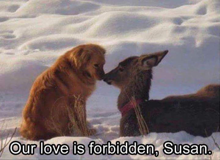 Forbidden love