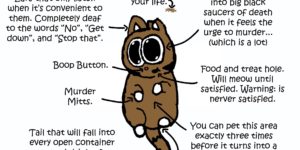 Anatomy of gato