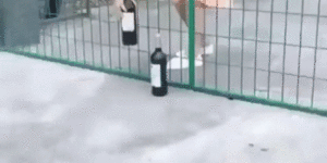 Extreme bottle pranks.