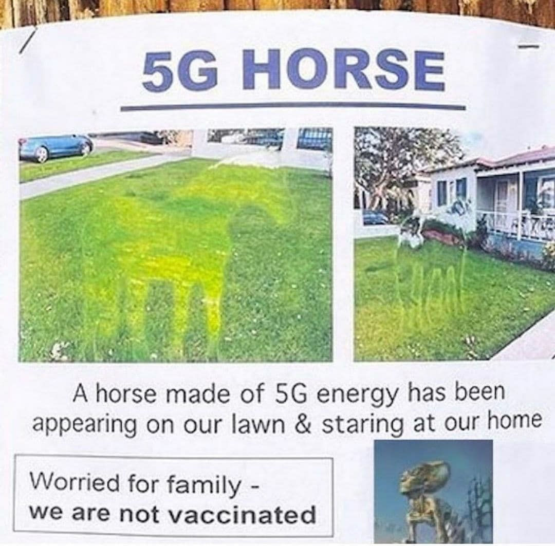 Government issue hors...