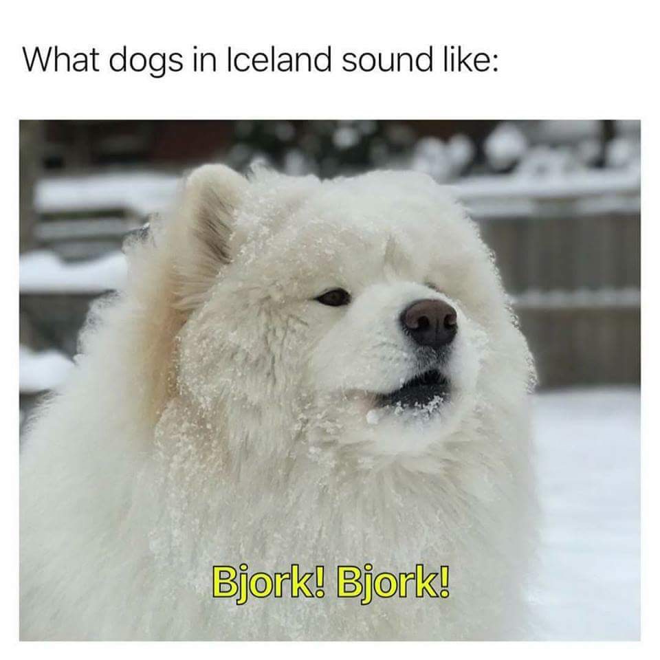 Icelandic pupperoni