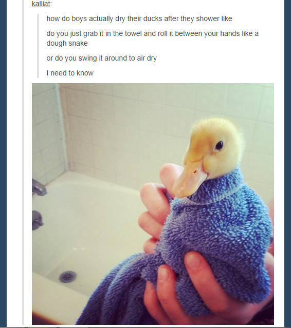 How do boys dry their ducks?
