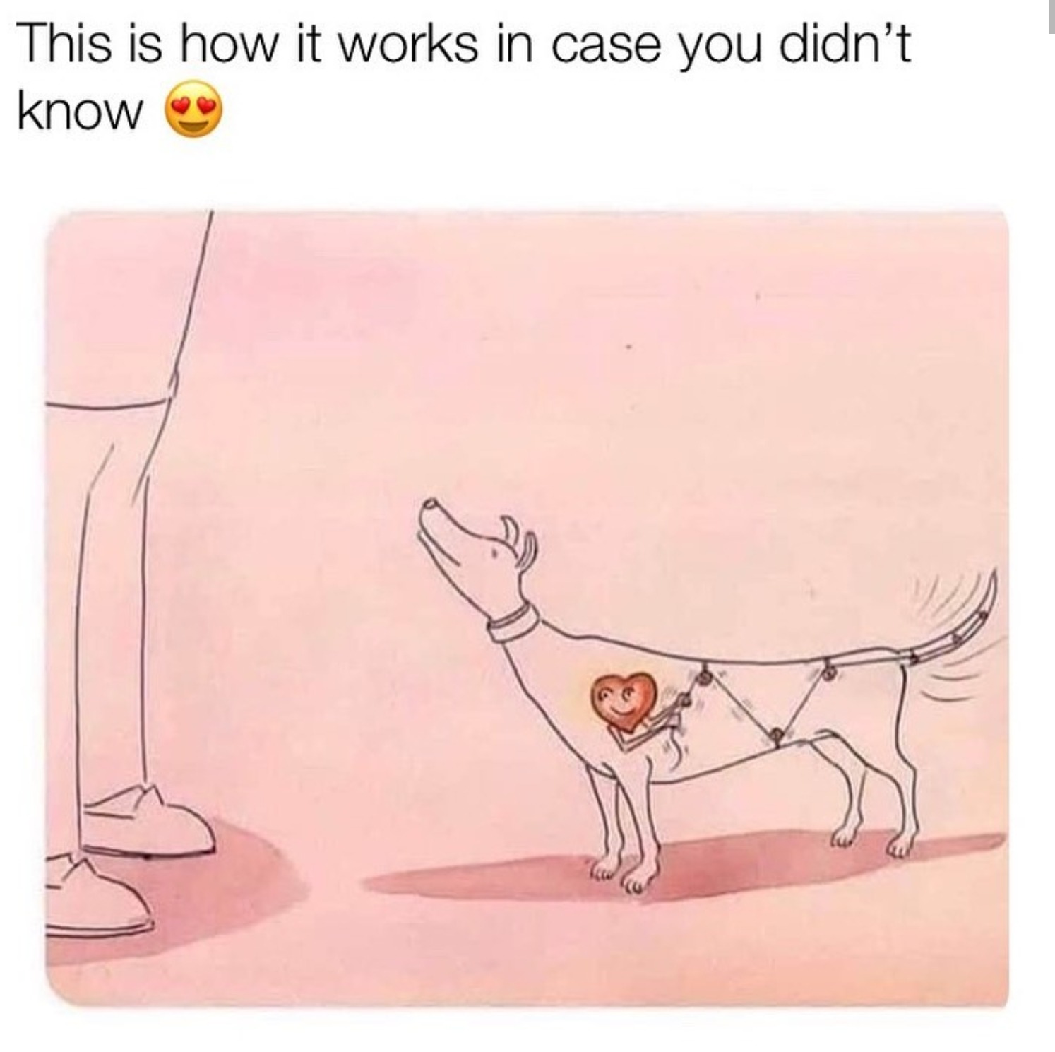 Oh yeah that makes sense.